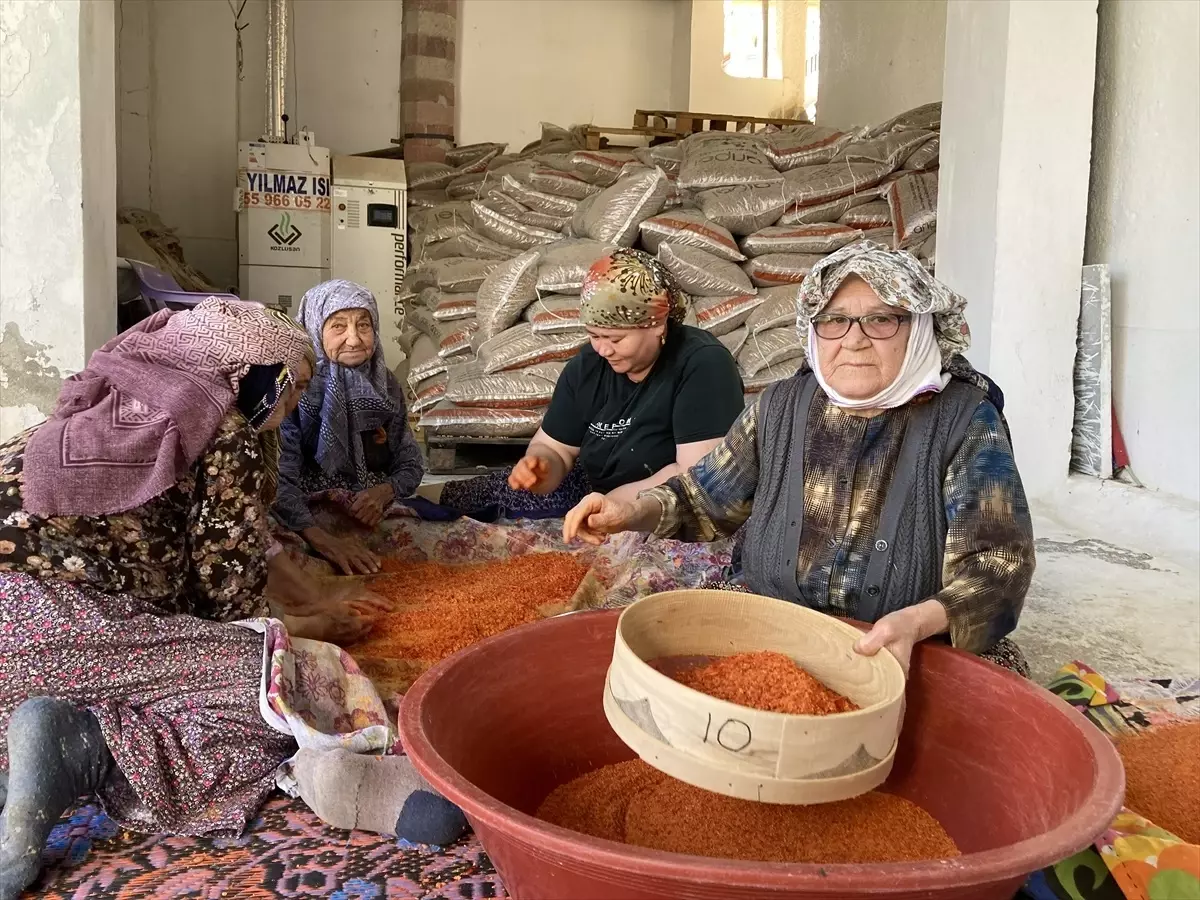 90 Yaşında Zinde Hayat: Tarhana ve Dostluğun Gücü