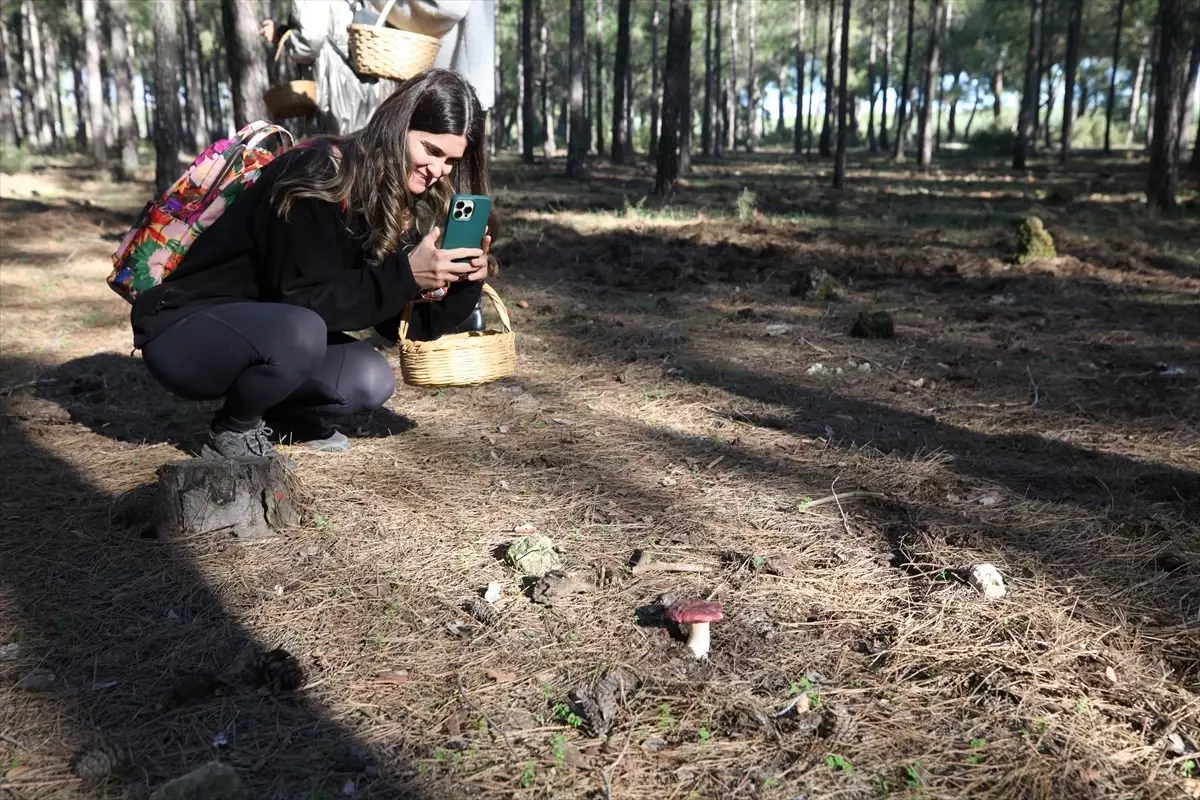 Antalya’da Mantar Toplama Etkinliği